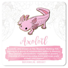 Load image into Gallery viewer, Enamel &amp; Wood Pins - Botanical Bright
