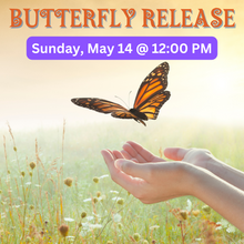 Load image into Gallery viewer, Butterfly Release
