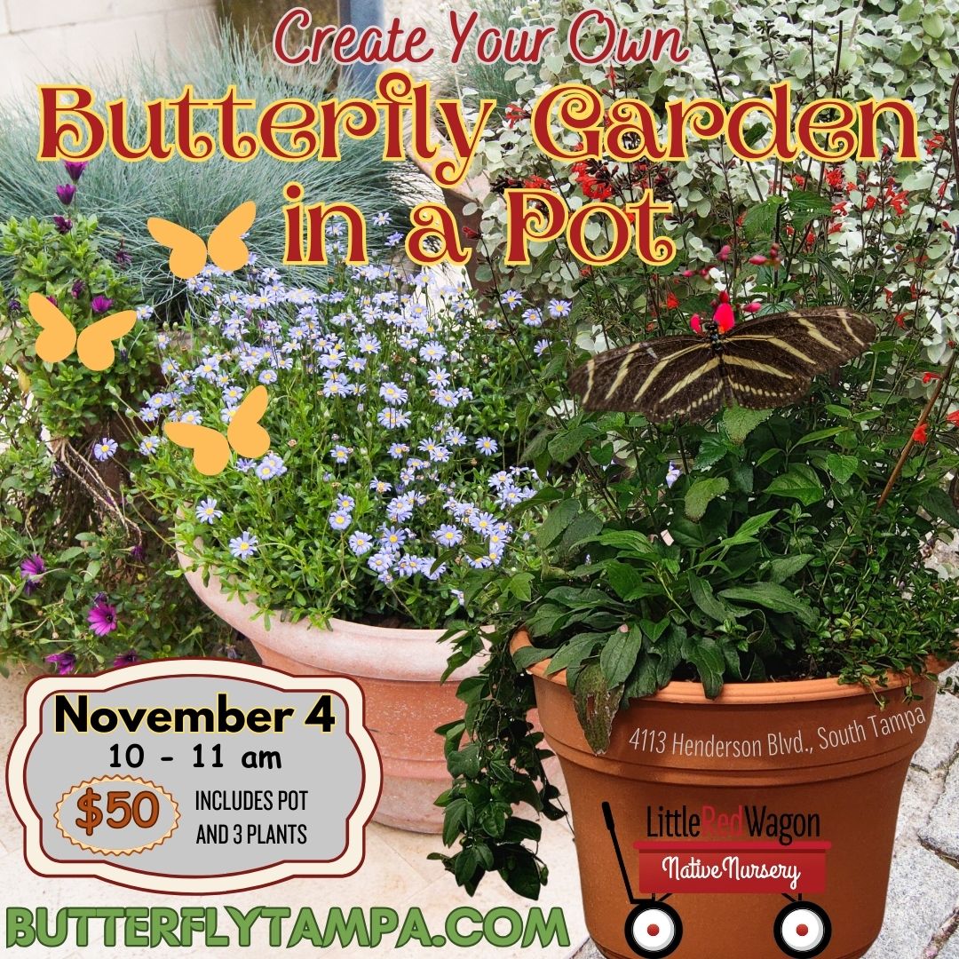 butterfly plants in pots Create Your Own Butterfly Garden in a Pot Workshop