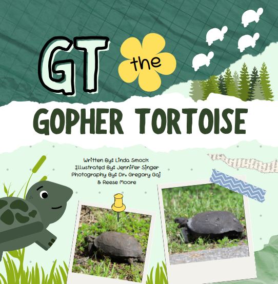 GT the Tortoise