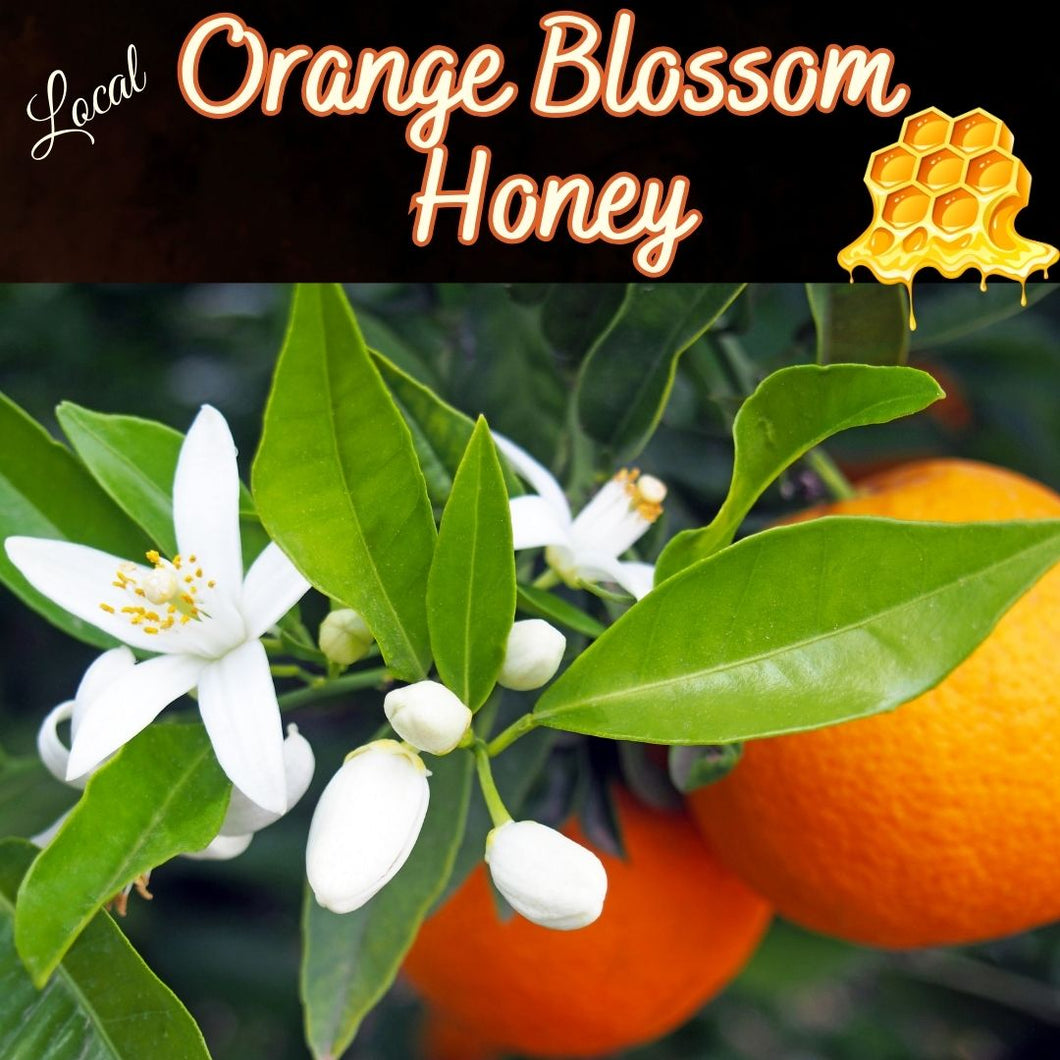 Orange Blossom Honey