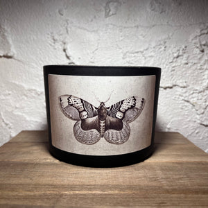Candle - Moth