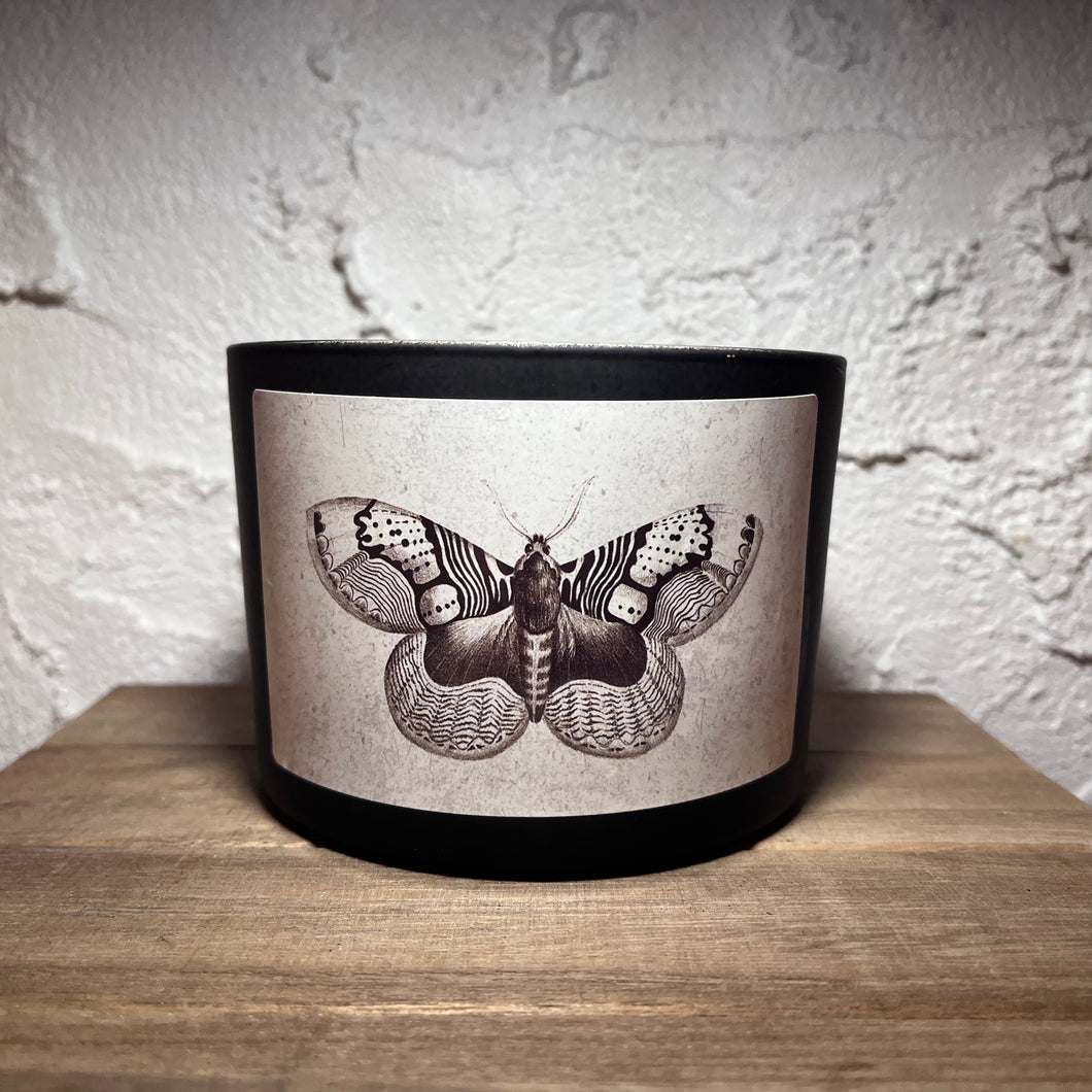 Candle - Moth