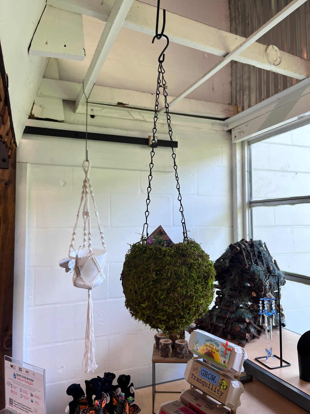 SuperMoss - Kokedama