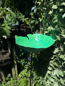 Green leaf bird bath