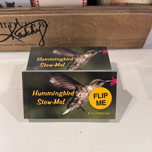 Flipbook