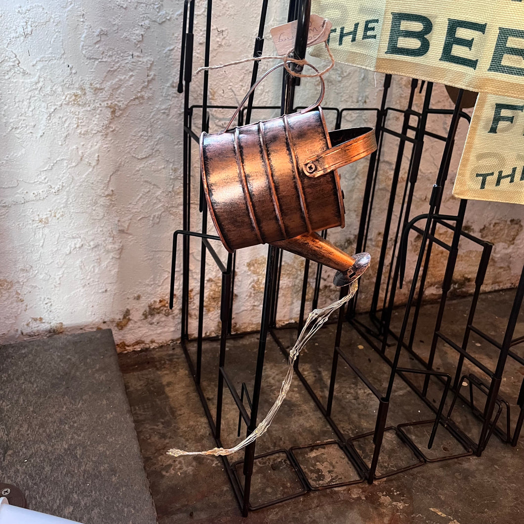 Solar watering can light