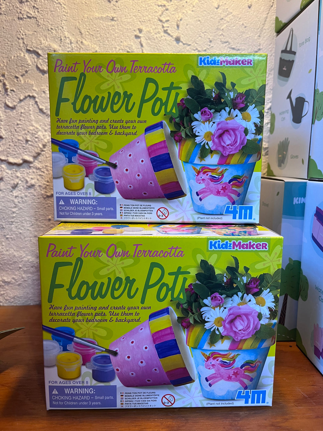 Paint Your Own Terracotta Flower Pots