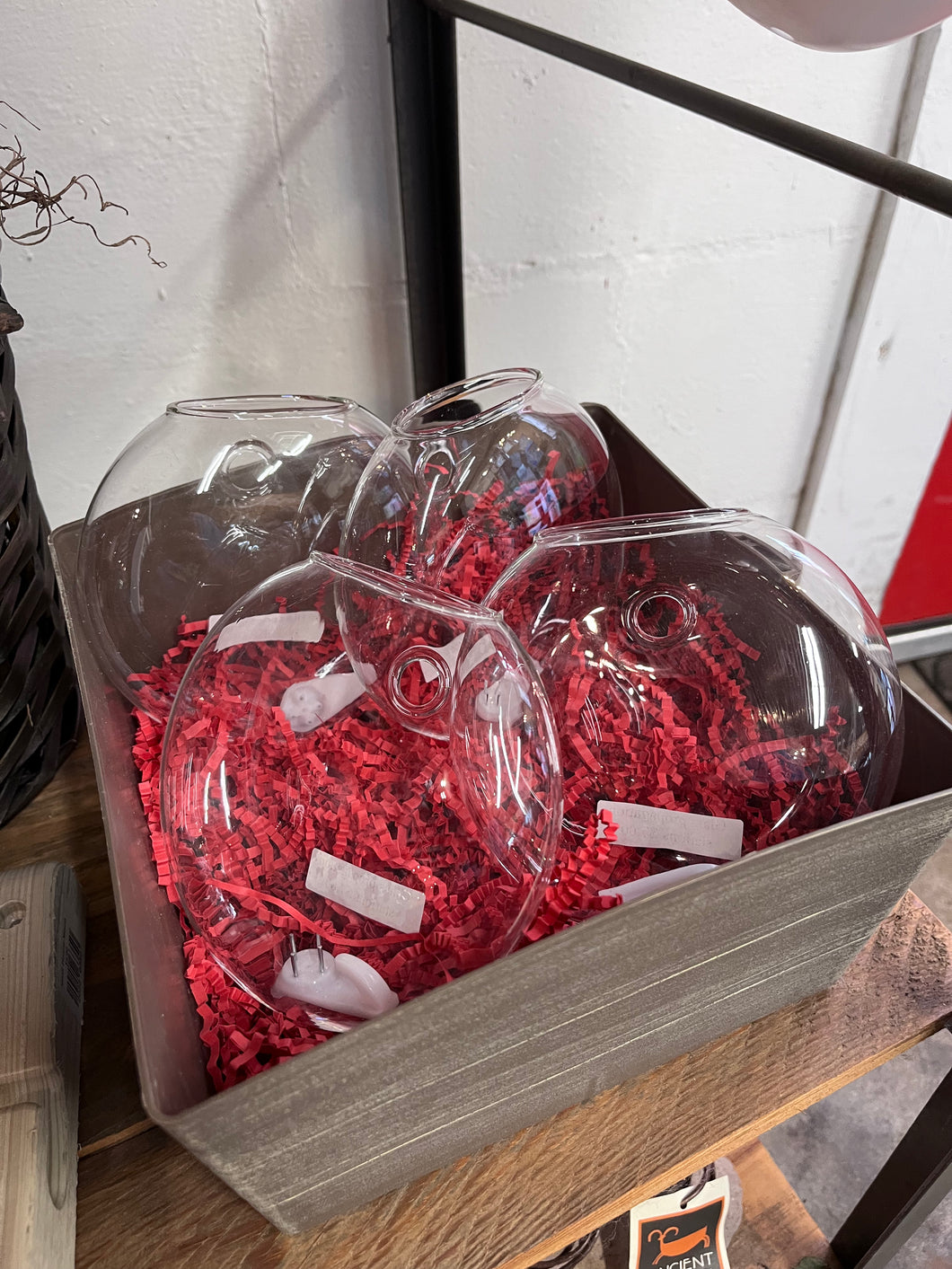 Glass propagation stations