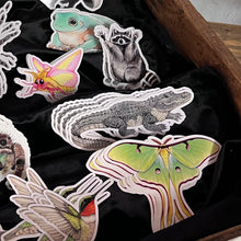 Load image into Gallery viewer, Allison Stoiser Art
