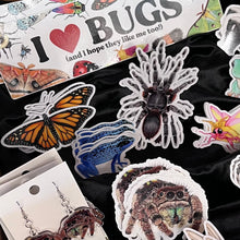 Load image into Gallery viewer, Allison Stoiser Art
