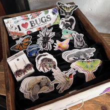 Load image into Gallery viewer, Allison Stoiser Art
