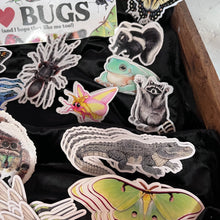 Load image into Gallery viewer, Allison Stoiser Art
