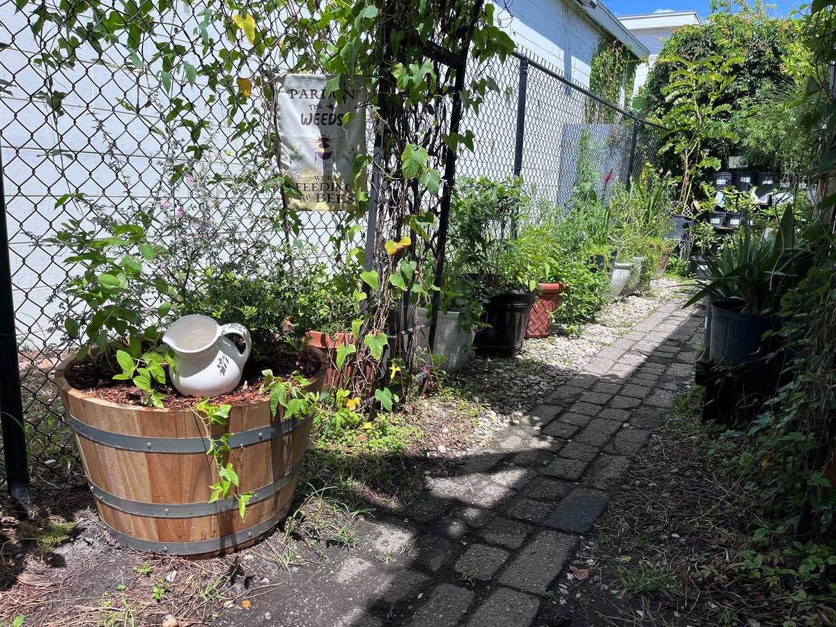 Pollinator Pots – Little Red Wagon Native Nursery