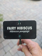 Plant sign with stake
