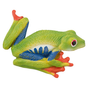 Red Eyed Tree Frog magnet