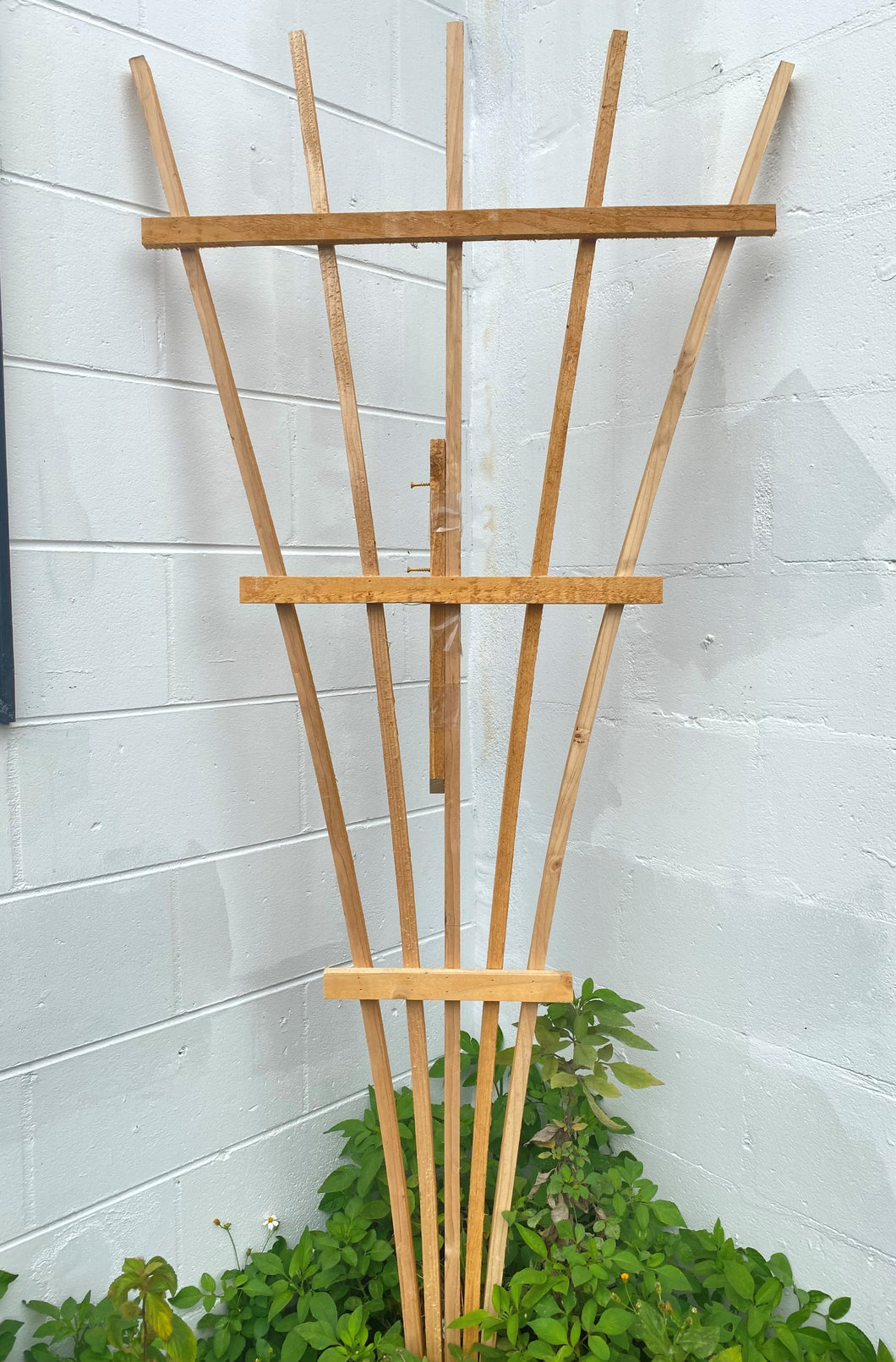 wooden trellis india Wood Trellis