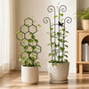 Trellis - Honeycomb