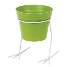 Load image into Gallery viewer, Green Chicken Feet Planter Stand w/ Pot

