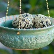 Blue Bird Cafe - Bird Feeder