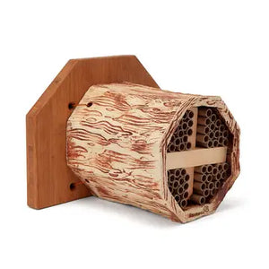 The Bee House