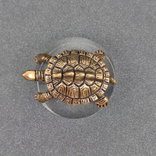 Load image into Gallery viewer, Brass Turtle Desktop Decoration
