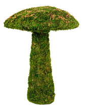 Load image into Gallery viewer, SuperMoss - Mushroom
