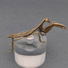 Load image into Gallery viewer, Brass Mantis Desktop Decoration
