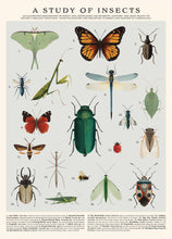 Load image into Gallery viewer, Insects Puzzle – 500 Pc Tube
