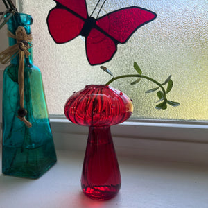 Glass Mushroom Propagation Vase
