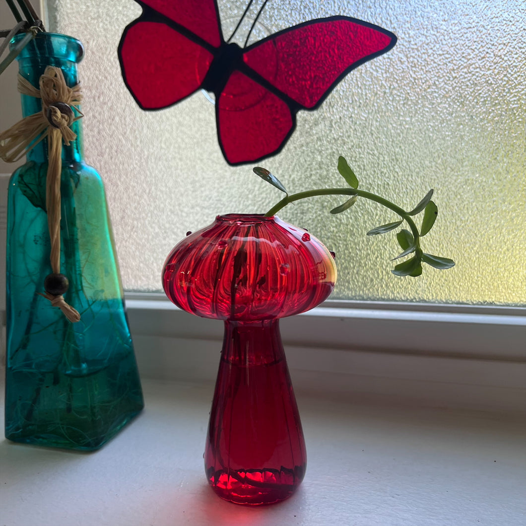 Glass Mushroom Propagation Vase