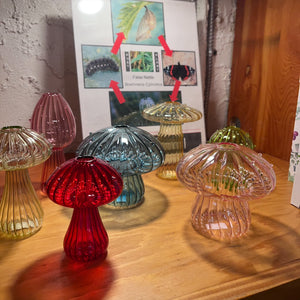 Glass Mushroom Propagation Vase