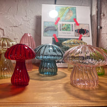 Load image into Gallery viewer, Glass Mushroom Propagation Vase
