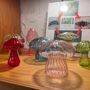 Glass Mushroom Propagation Vase