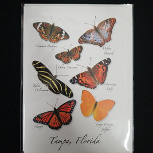 Butterflies Tampa FL card
