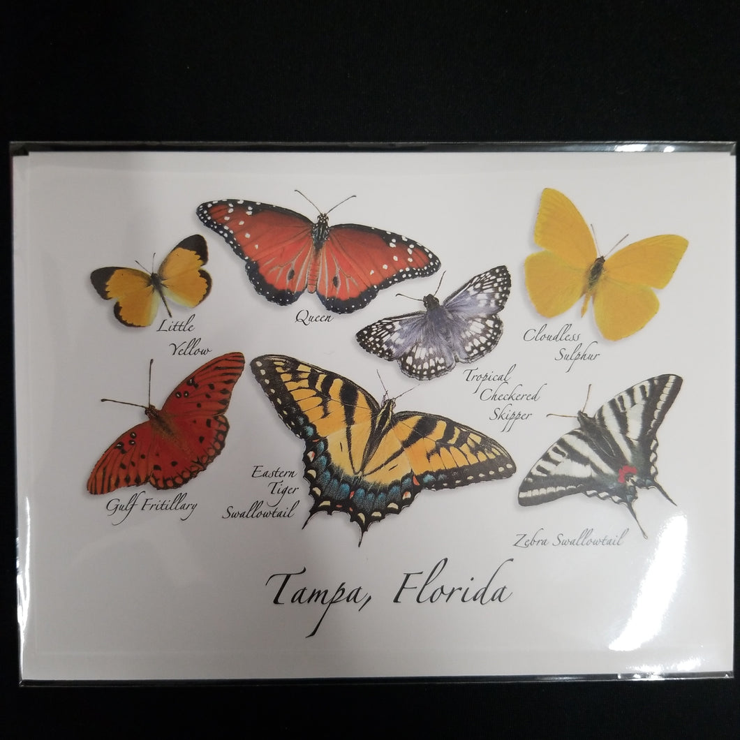 Butterflies Tampa 2 card
