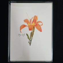 Load image into Gallery viewer, Wildflower Assortment Note Cards
