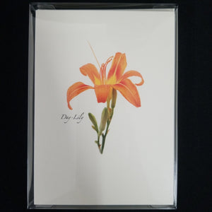 Wildflower Assortment Note Cards