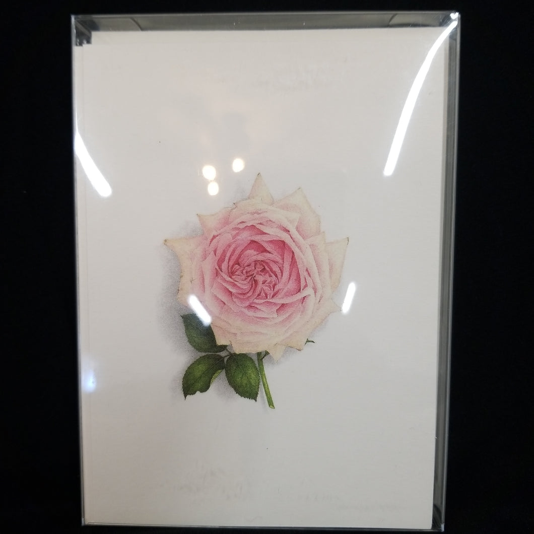 Rose Assortment Note Cards