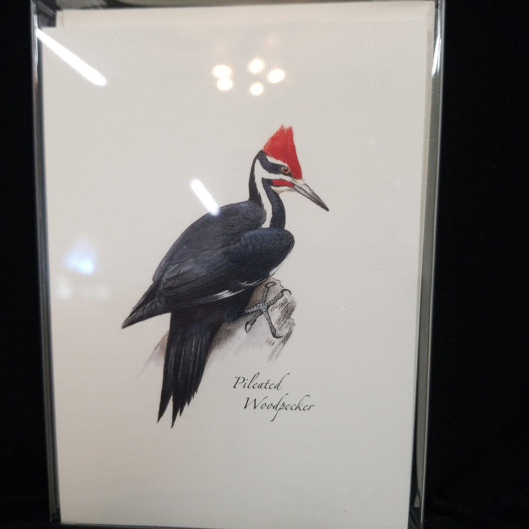 Woodpecker Asst. Note Cards