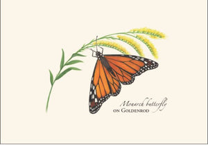 Note Cards - Monarch on Goldenrod