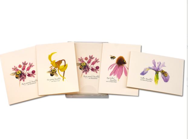 Note Cards - Bumble Bee
