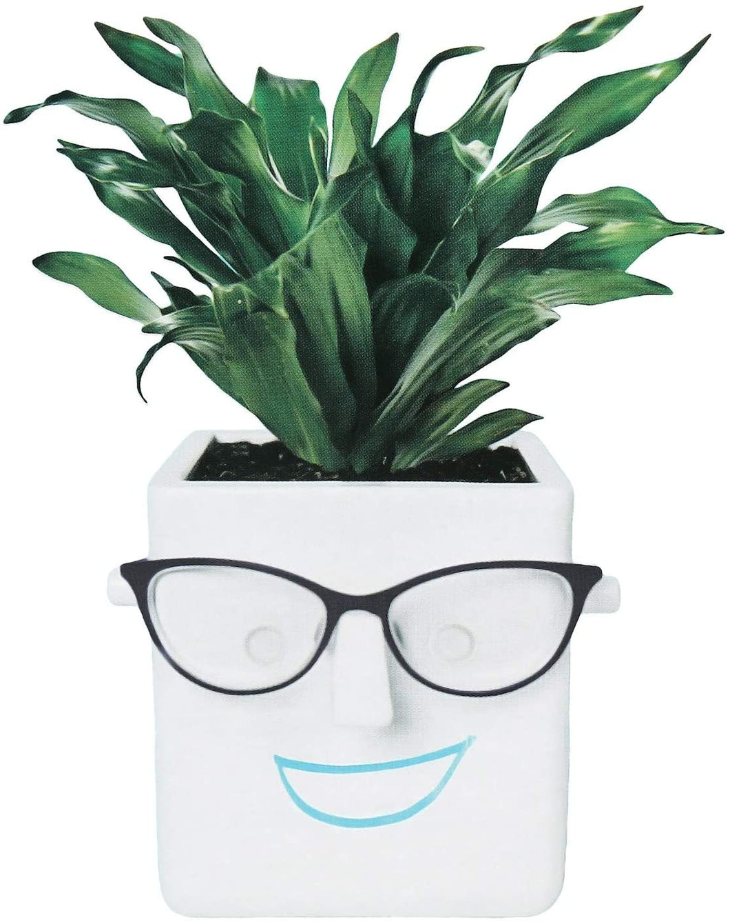 30 Watt, FACE Plant | Novelty Planter That Holds Your Plants
