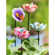 Pollinator Plant Picks