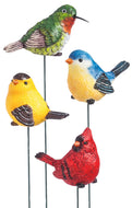 For the Birds Plant Pick
