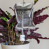 Plant Life Support