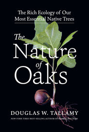 Book - Nature of Oaks