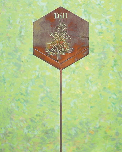 Plant Stake - Dill