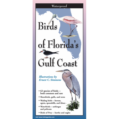 Birds of FL Gulf Coast Guide