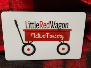 Little Red Wagon Gift Card